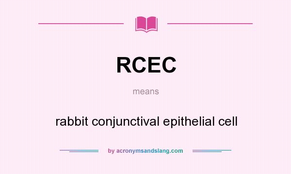 What does RCEC mean? It stands for rabbit conjunctival epithelial cell