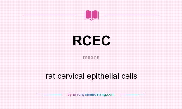 What does RCEC mean? It stands for rat cervical epithelial cells