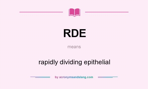 What does RDE mean? It stands for rapidly dividing epithelial