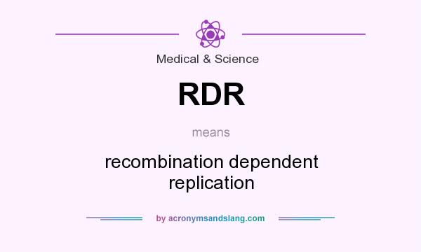 What does RDR mean? It stands for recombination dependent replication