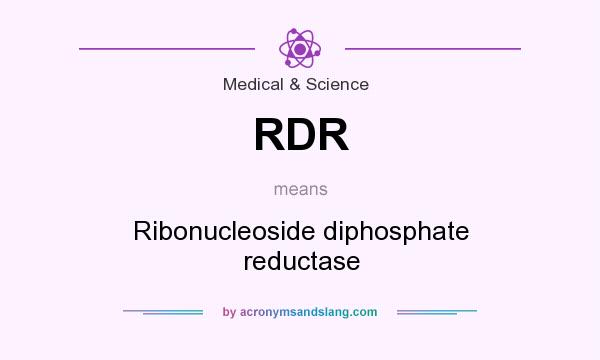 What does RDR mean? It stands for Ribonucleoside diphosphate reductase
