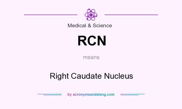 What does RCN mean? It stands for Right Caudate Nucleus