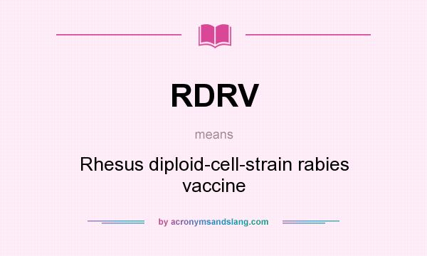 What does RDRV mean? It stands for Rhesus diploid-cell-strain rabies vaccine