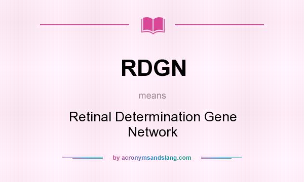 What does RDGN mean? It stands for Retinal Determination Gene Network