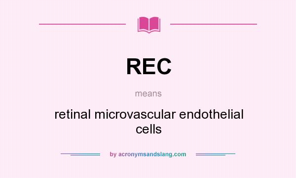 What does REC mean? It stands for retinal microvascular endothelial cells
