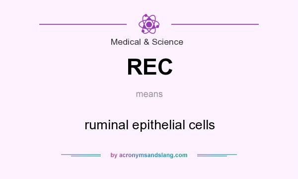 What does REC mean? It stands for ruminal epithelial cells