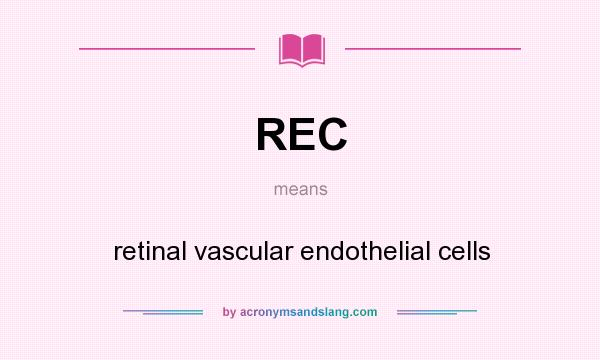 What does REC mean? It stands for retinal vascular endothelial cells