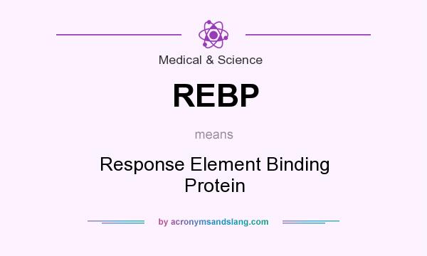 What does REBP mean? It stands for Response Element Binding Protein