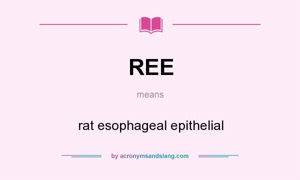 What does REE mean? It stands for rat esophageal epithelial