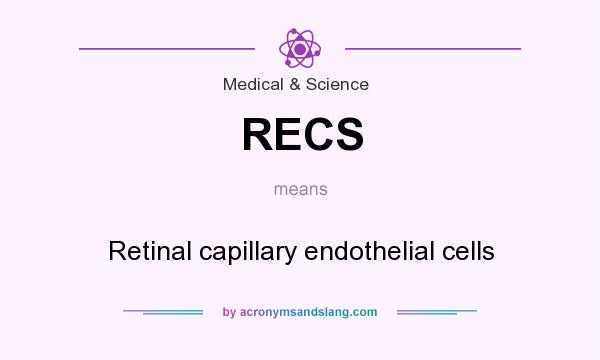 What does RECS mean? It stands for Retinal capillary endothelial cells