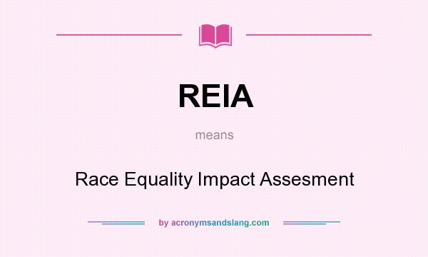 What does REIA mean? It stands for Race Equality Impact Assesment