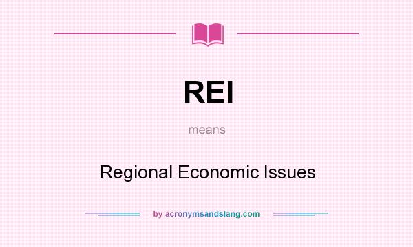 What does REI mean? It stands for Regional Economic Issues