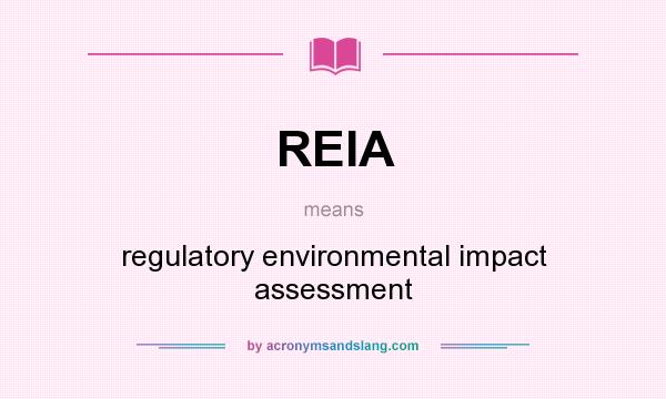 What does REIA mean? It stands for regulatory environmental impact assessment