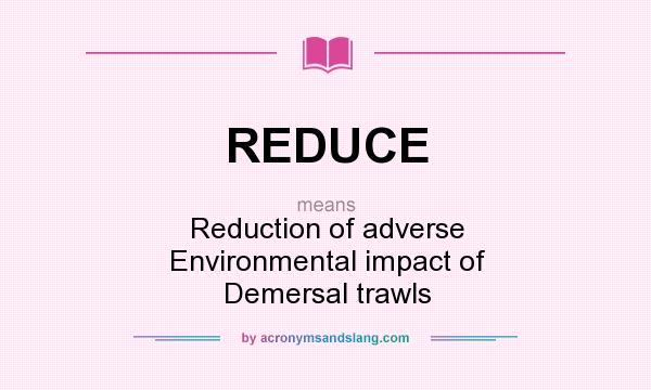 What does REDUCE mean? It stands for Reduction of adverse Environmental impact of Demersal trawls