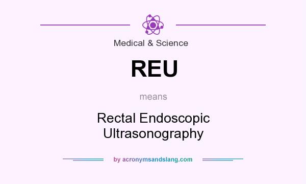 What does REU mean? It stands for Rectal Endoscopic Ultrasonography