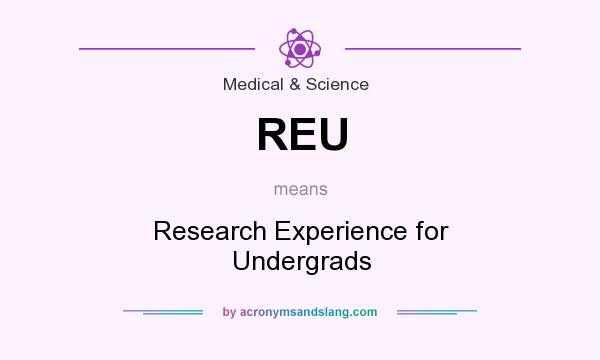 What does REU mean? It stands for Research Experience for Undergrads