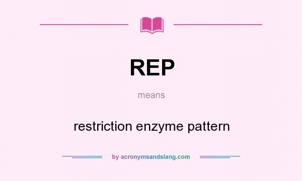 What does REP mean? It stands for restriction enzyme pattern