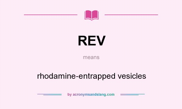 What does REV mean? It stands for rhodamine-entrapped vesicles