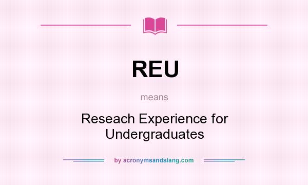 What does REU mean? It stands for Reseach Experience for Undergraduates