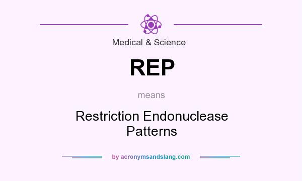 What does REP mean? It stands for Restriction Endonuclease Patterns