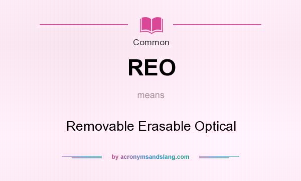 What does REO mean? It stands for Removable Erasable Optical