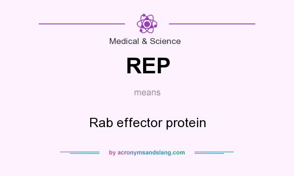 What does REP mean? It stands for Rab effector protein