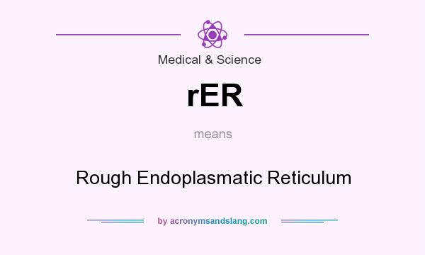 What does rER mean? It stands for Rough Endoplasmatic Reticulum