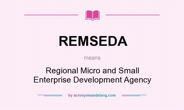 What does REMSEDA mean? It stands for Regional Micro and Small Enterprise Development Agency