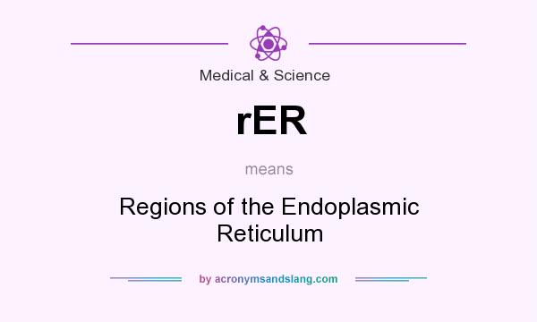 What does rER mean? It stands for Regions of the Endoplasmic Reticulum