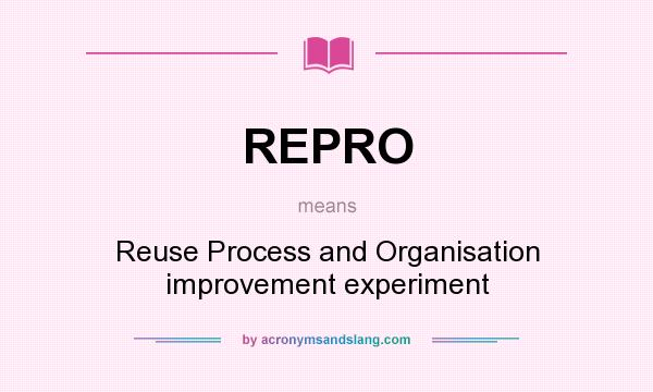 What does REPRO mean? It stands for Reuse Process and Organisation improvement experiment