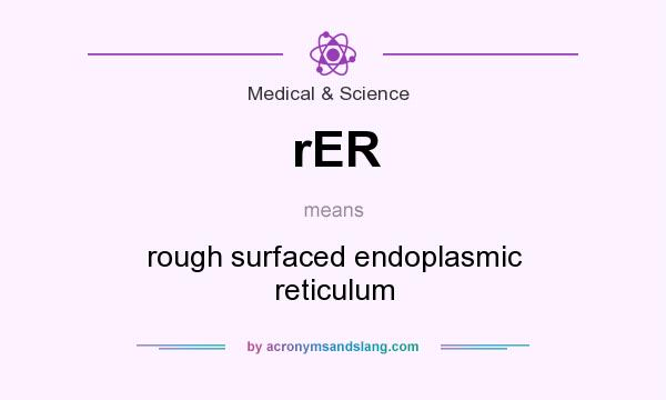 What does rER mean? It stands for rough surfaced endoplasmic reticulum