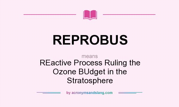What does REPROBUS mean? It stands for REactive Process Ruling the Ozone BUdget in the Stratosphere