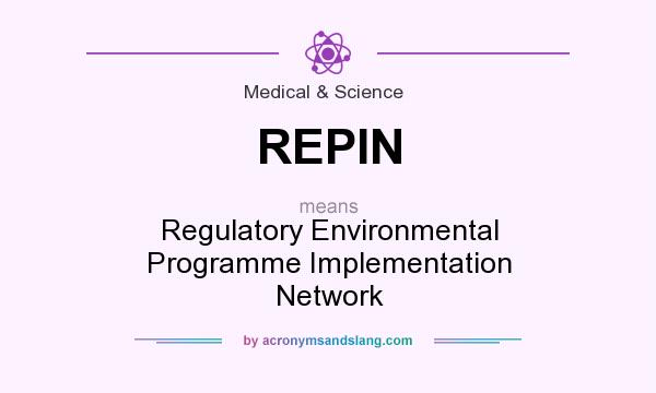 What does REPIN mean? It stands for Regulatory Environmental Programme Implementation Network