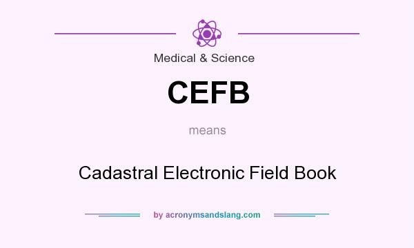 What does CEFB mean? It stands for Cadastral Electronic Field Book