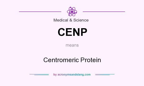 What does CENP mean? It stands for Centromeric Protein