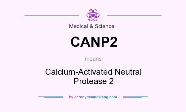 What does CANP2 mean? It stands for Calcium-Activated Neutral Protease 2