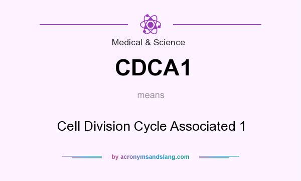 What does CDCA1 mean? It stands for Cell Division Cycle Associated 1