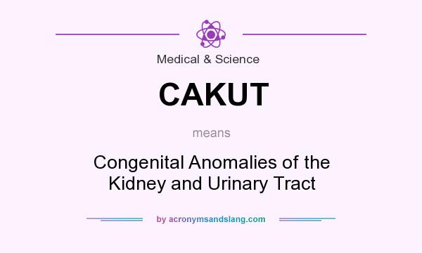What does CAKUT mean? It stands for Congenital Anomalies of the Kidney and Urinary Tract