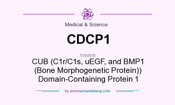 What does CDCP1 mean? It stands for CUB (C1r/C1s, uEGF, and BMP1 (Bone Morphogenetic Protein)) Domain-Containing Protein 1