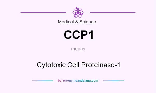 What does CCP1 mean? It stands for Cytotoxic Cell Proteinase-1