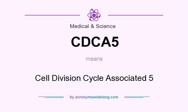 What does CDCA5 mean? It stands for Cell Division Cycle Associated 5