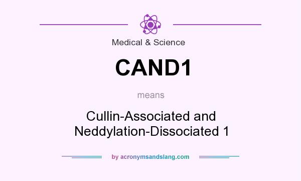 What does CAND1 mean? It stands for Cullin-Associated and Neddylation-Dissociated 1