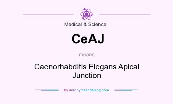 What does CeAJ mean? It stands for Caenorhabditis Elegans Apical Junction