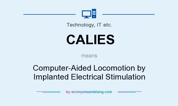 What does CALIES mean? It stands for Computer-Aided Locomotion by Implanted Electrical Stimulation