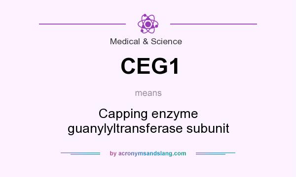 What does CEG1 mean? It stands for Capping enzyme guanylyltransferase subunit