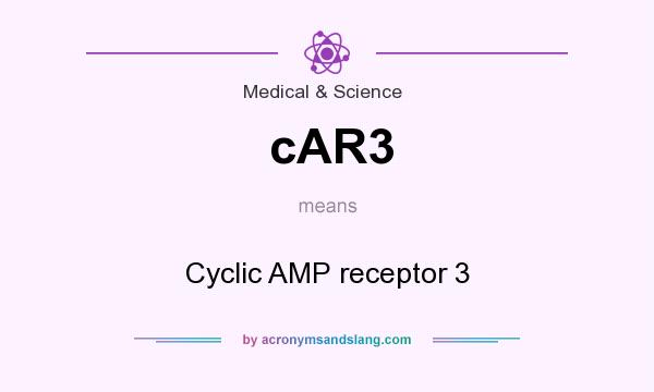What does cAR3 mean? It stands for Cyclic AMP receptor 3