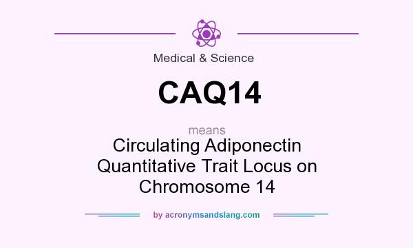 What does CAQ14 mean? It stands for Circulating Adiponectin Quantitative Trait Locus on Chromosome 14