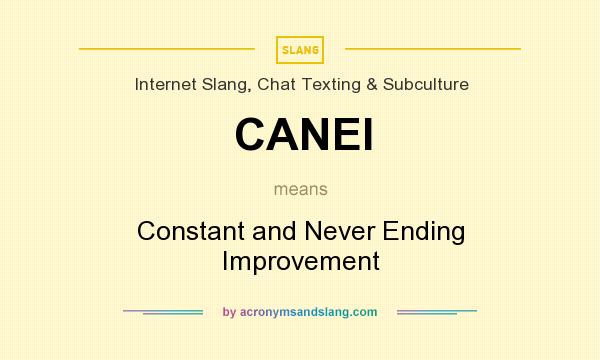 What does CANEI mean? It stands for Constant and Never Ending Improvement