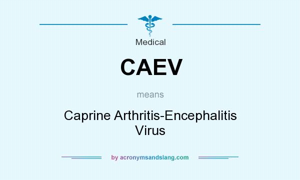 What does CAEV mean? It stands for Caprine Arthritis-Encephalitis Virus