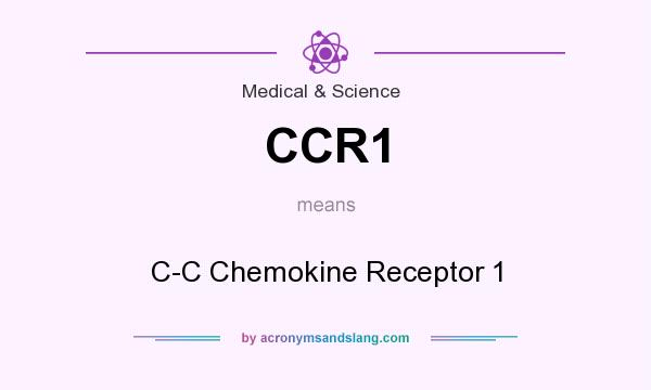 What does CCR1 mean? It stands for C-C Chemokine Receptor 1